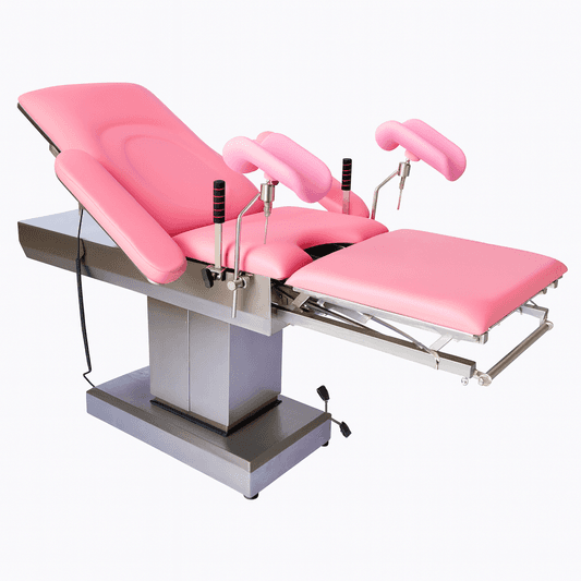 HP-T02 Concealed electric delivery bed